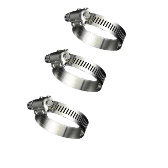 304 Stainless Steel Adjustable America Type Worm Gear Hose Clamp